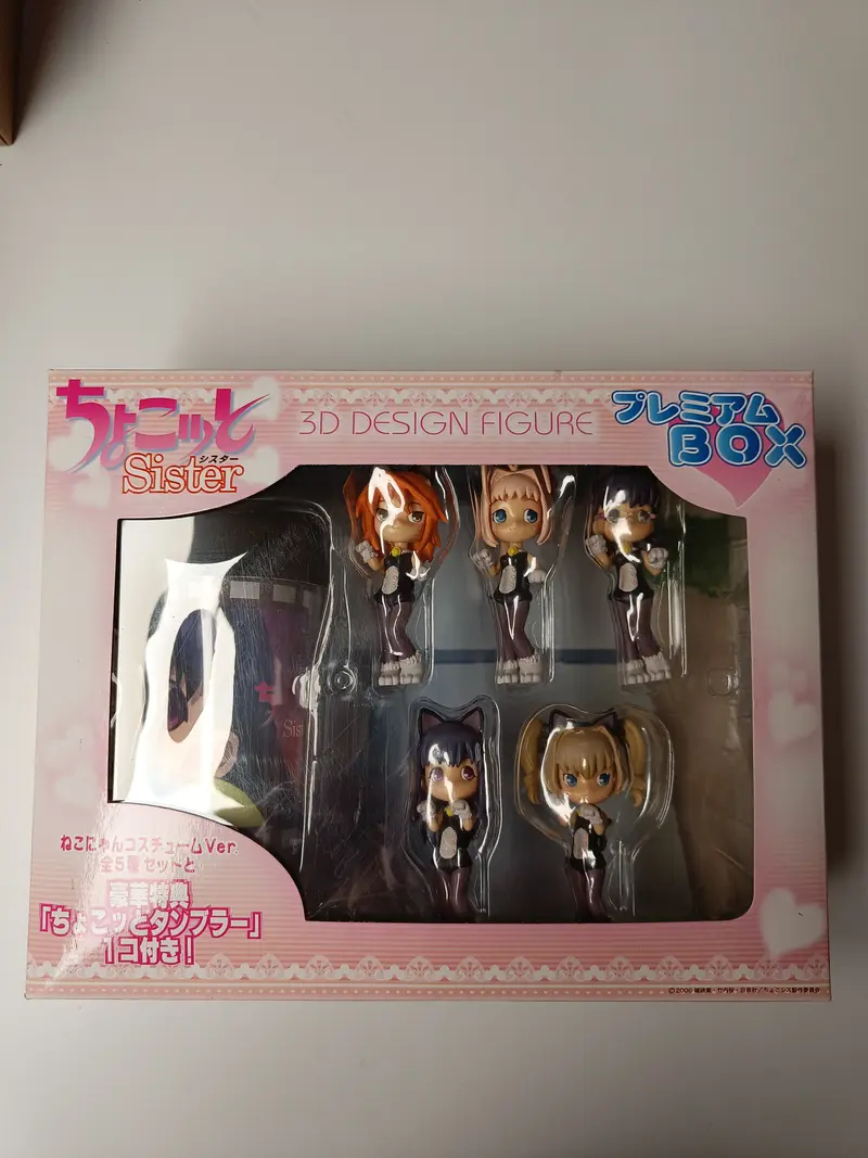 3D Design Figure Chokkoto Sister Premium Box