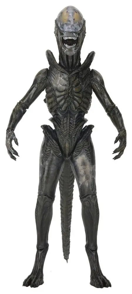 Alien