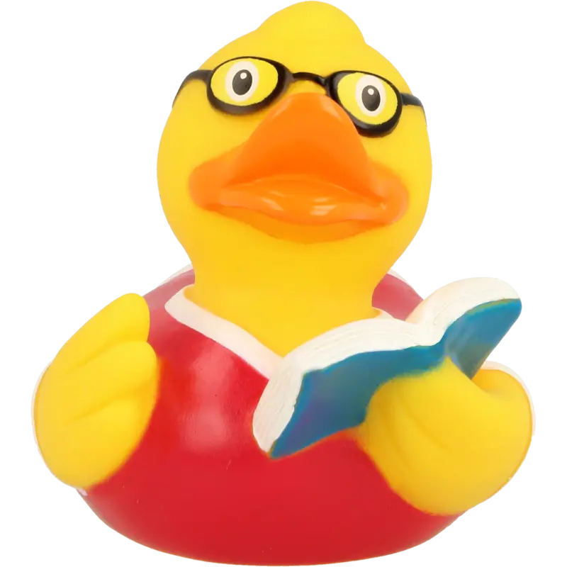 Buch Lesen Ente Badeente Quietscheente Gummiente Lilalu
