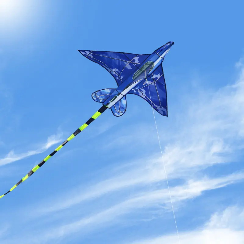 Flugzeug Drachen für Kinder | Outdoor-Spielzeug ab 8 – Bimbino