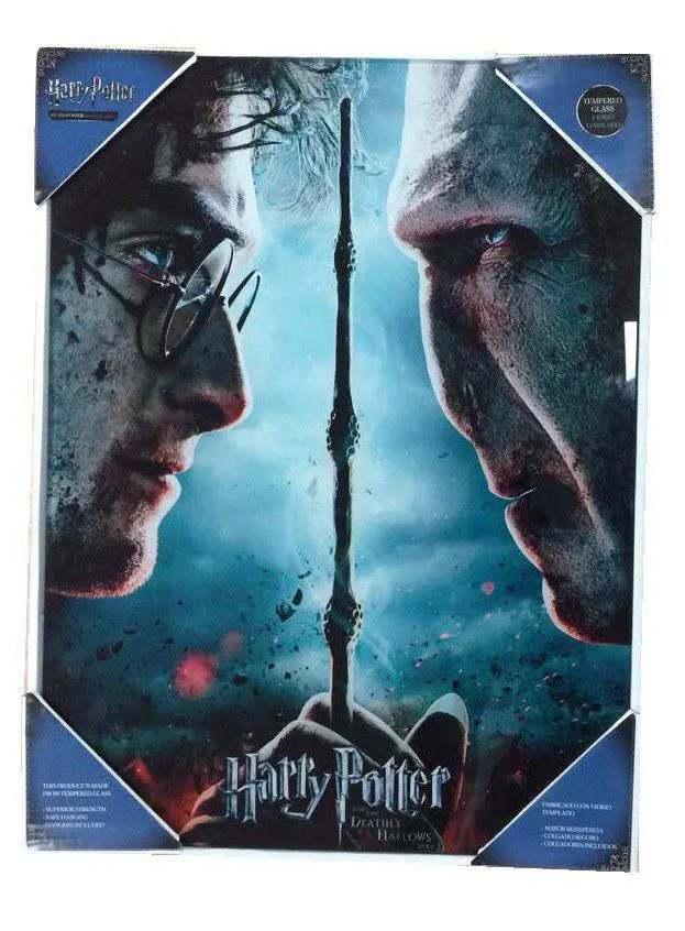 Harry Potter Glasposter Harry & Voldemort 30 x 40 cm