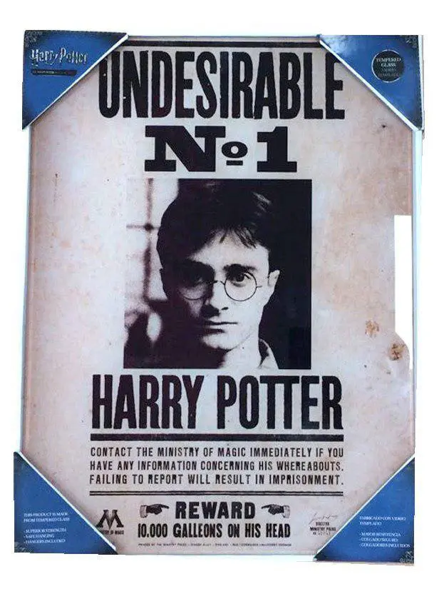 Harry Potter Glasposter Undesirable No. 1 30 x 40 cm