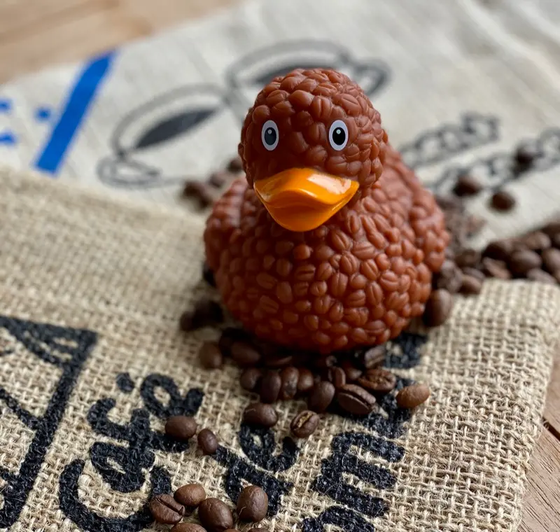 Kaffee Bohnen Ente Badeente Quietscheente Gummiente Lilalu