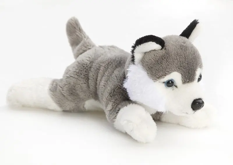 Liegender Husky als Plüschtier, 22 cm