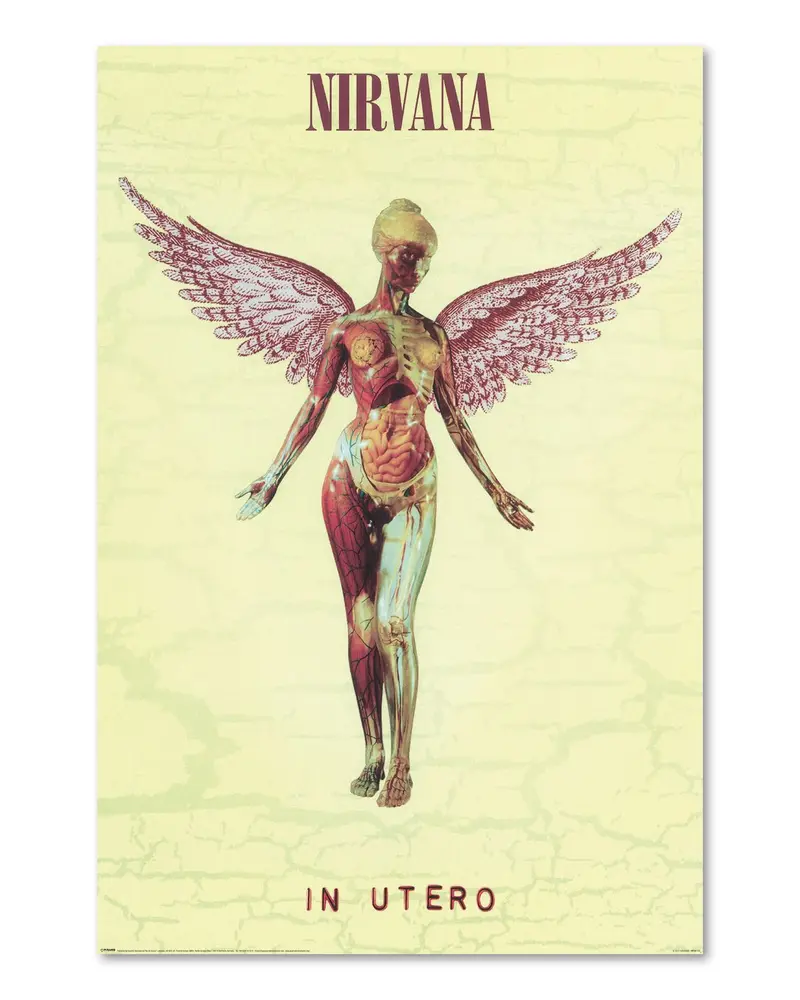 Nirvana In Utero Poster