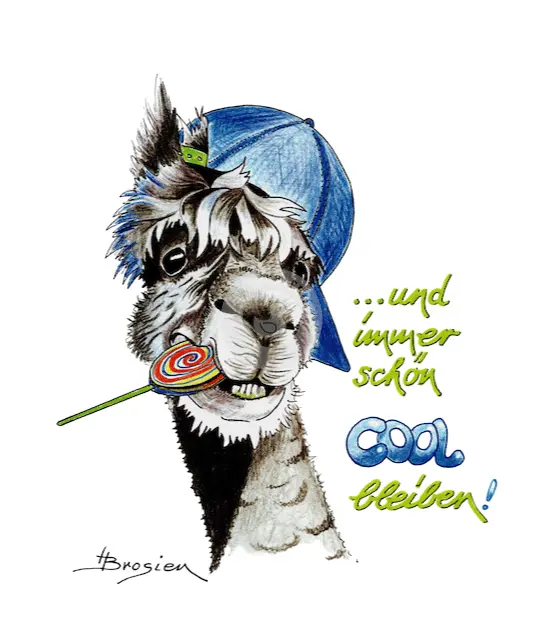 Passepartout Bild Alpaka "Cool" 24 x 30 cm Heidemarie Brosien