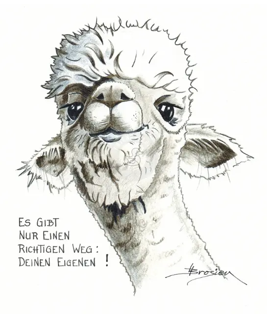 Passepartout Bild Alpaka "Eigener Weg" 24 x 30 cm Heidemarie Brosien