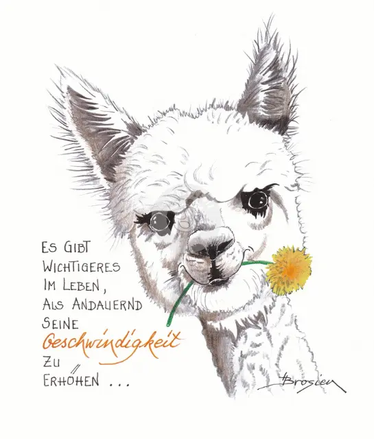 Passepartout Bild Alpaka "Geschwindigkeit" 24 x 30 cm Heidemarie Brosien