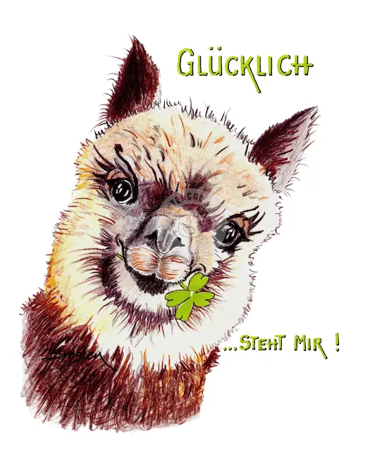 Passepartout Bild Alpaka "Glücklich Steht Mir" 24 x 30 cm Heidemarie Brosien