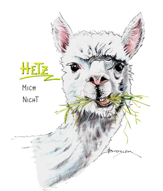 Passepartout Bild Alpaka "Hetz mich nicht" 24 x 30 cm Heidemarie Brosien