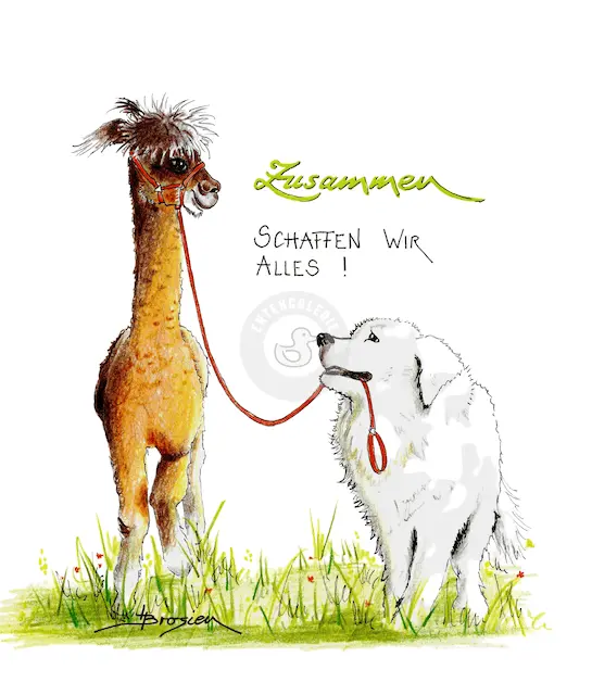 Passepartout Bild Alpaka & Hund "Zusammen" 24 x 30 cm Heidemarie Brosien