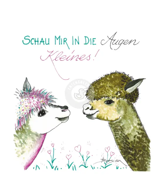 Passepartout Bild Alpaka "Kleines" 24 x 30 cm Heidemarie Brosien