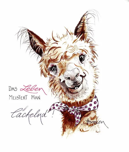 Passepartout Bild Alpaka Lustiger Spruch 24 x 30 cm Heidemarie Brosien