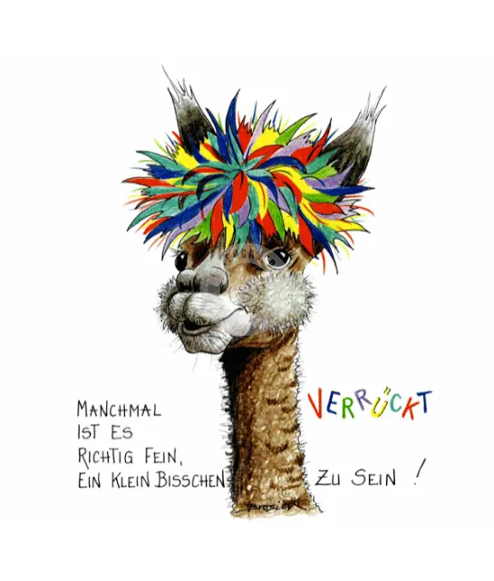 Passepartout Bild Alpaka "Verrückt" 24 x 30 cm Heidemarie Brosien