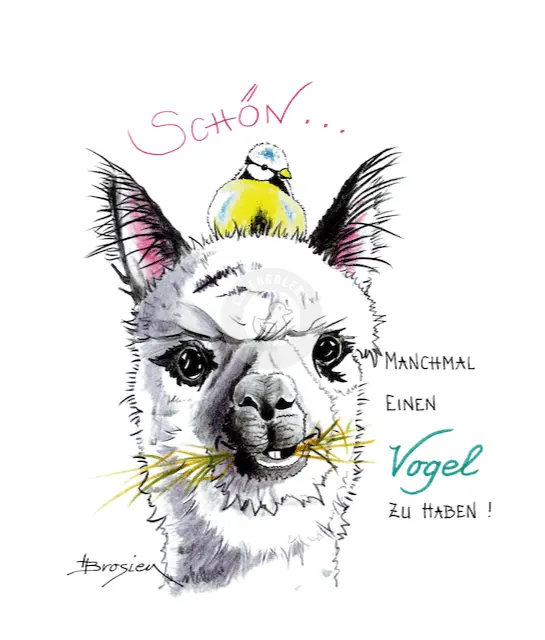 Passepartout Bild Alpaka "Vogel" 24 x 30 cm Heidemarie Brosien
