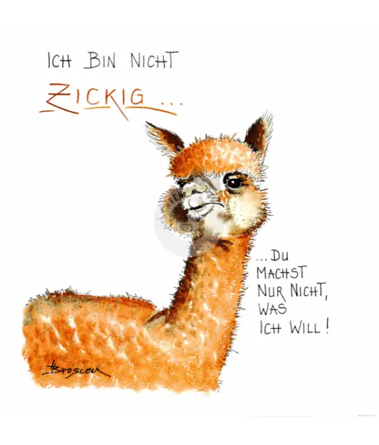 Passepartout Bild Alpaka "Zickig" 24 x 30 cm Heidemarie Brosien