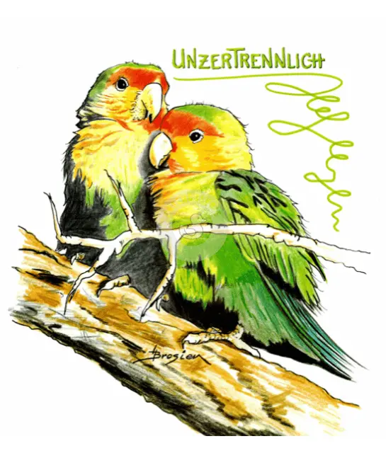 Passepartout Bild Bunte Vögel "Unzertrennlich" 24 x 30 cm Heidemarie Brosien