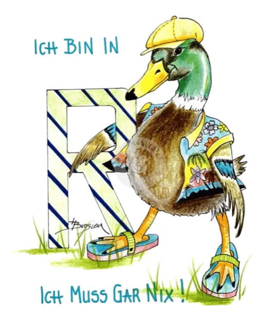 Passepartout Bild Ente Erpel Enterich "Rente" 24 x 30 cm Heidemarie Brosien