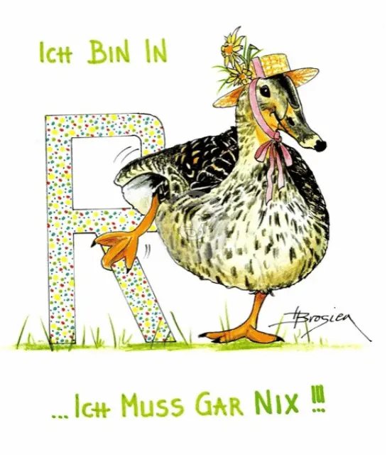 Passepartout Bild Ente Henne Weiblich "Rente" 24 x 30 cm Heidemarie Brosien