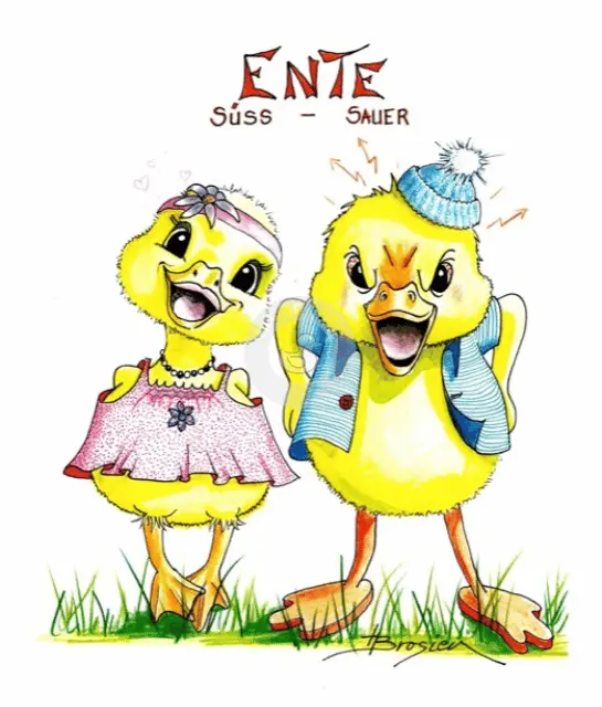 Passepartout Bild "Ente-Süss-Sauer" 24 x 30 cm Heidemarie Brosien