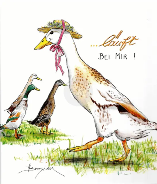 Passepartout Bild Enten "Läuft bei mir" 24 x 30 cm Heidemarie Brosien