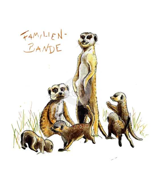 Passepartout Bild Erdmännchen "Familienbande" 24 x 30 cm Heidemarie Brosien