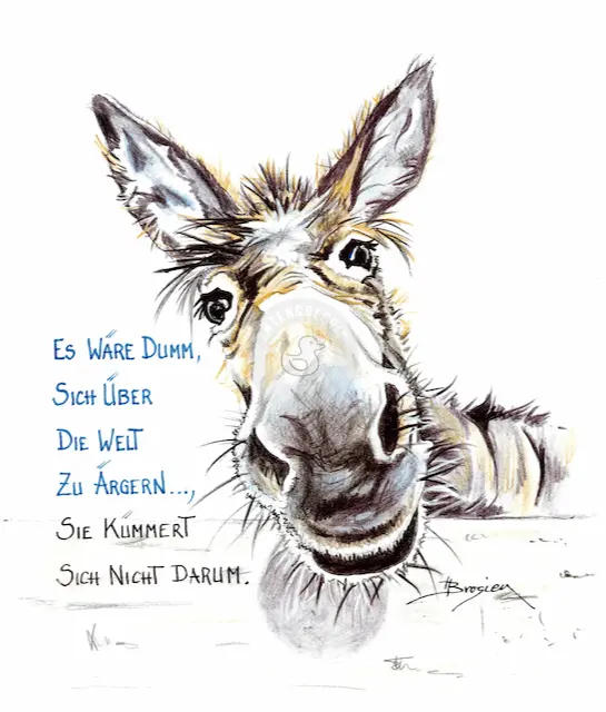 Passepartout Bild Esel Lustiger Spruch 24 x 30 cm Heidemarie Brosien