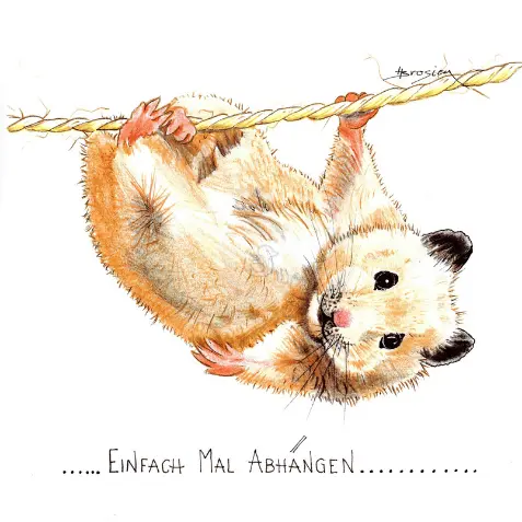 Passepartout Bild Hamster Lustiger Spruch 24 x 30 cm Heidemarie Brosien