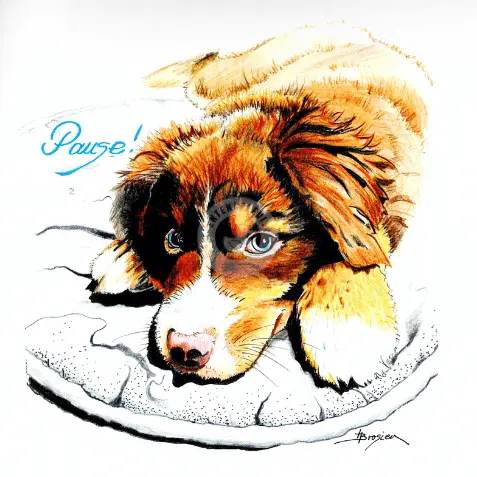 Passepartout Bild Hund "Pause" 24 x 30 cm Heidemarie Brosien