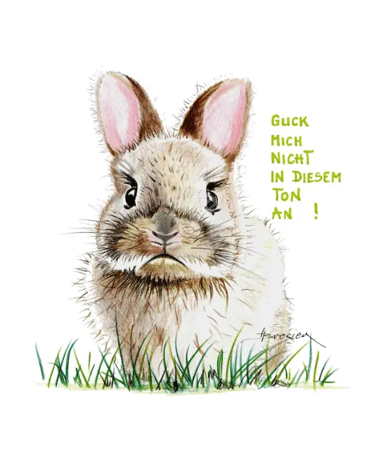 Passepartout Bild Kaninchen Lustiger Spruch 24 x 30 cm Heidemarie Brosien