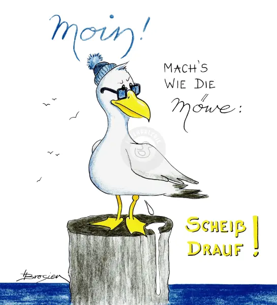 Passepartout Bild Möwen "Scheiss Drauf" 24 x 30 cm Heidemarie Brosien