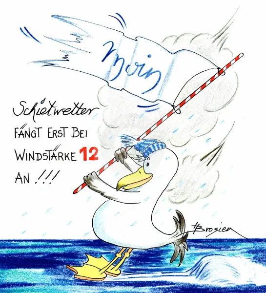 Passepartout Bild Möwen "Schietwetter Windstärke 12" 24 x 30 cm Heidemarie Brosien