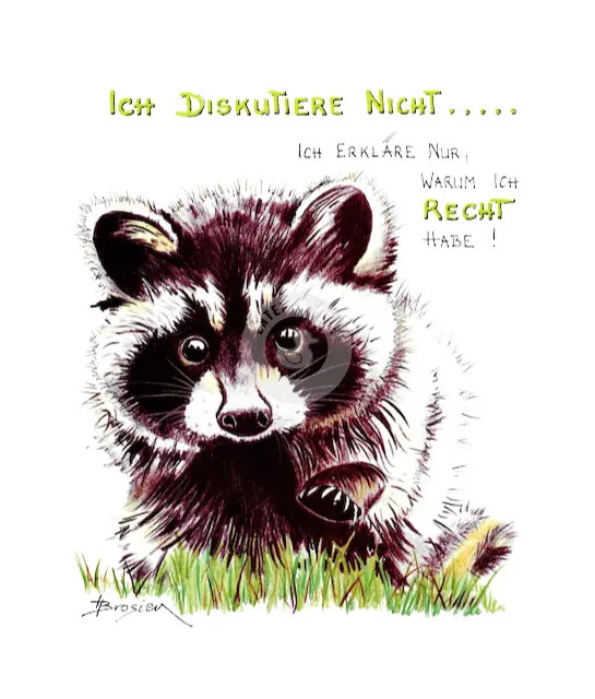 Passepartout Bild Waschbär "Ich diskutiere nicht" 24 x 30 cm Heidemarie Brosien