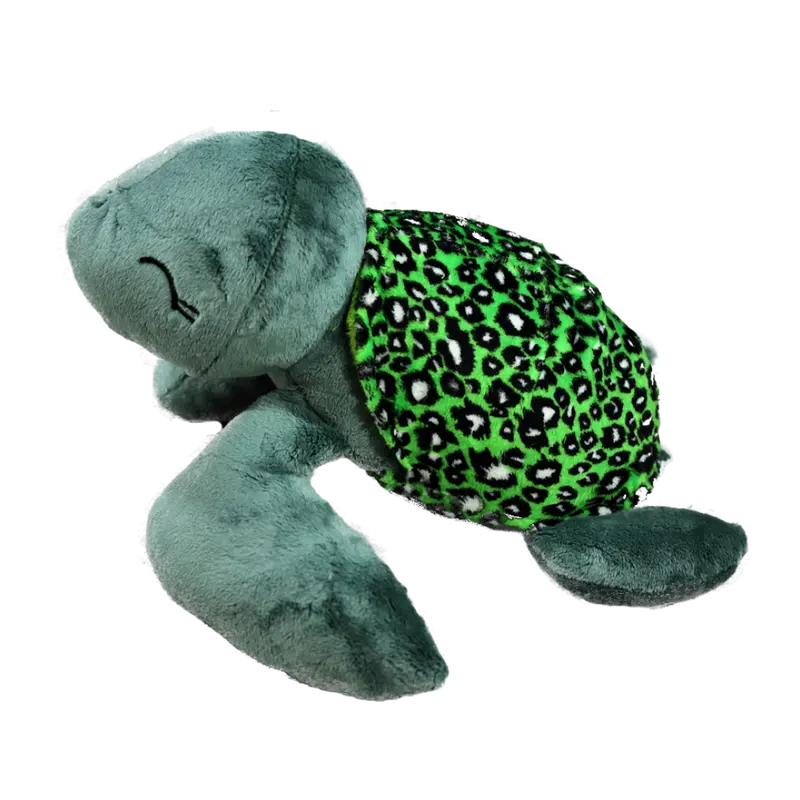 Schildkröte Frieda