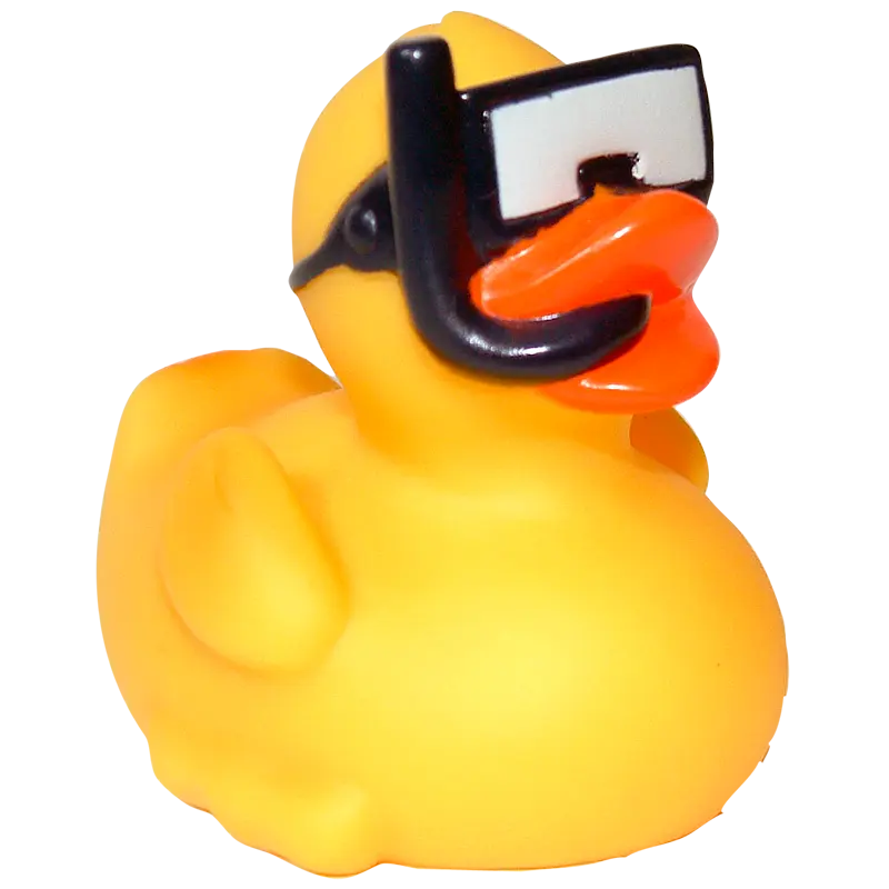 Schnorcheln Taucherbrille Ente Badeente Quietscheente Factotum