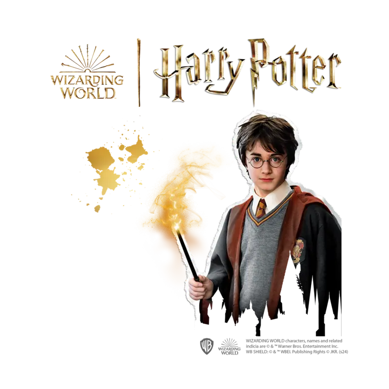 SES - Harry Potter - Steine bemalen